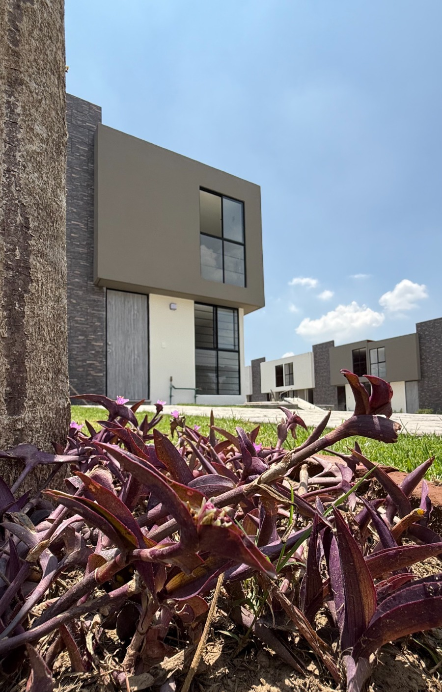 Fachada de vivienda y área ajardinada